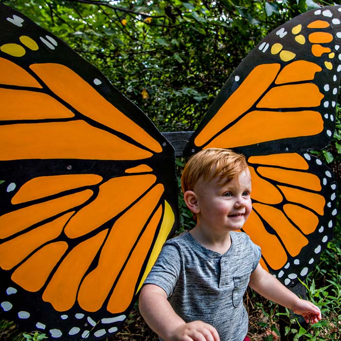 small child with orange butterfly wings