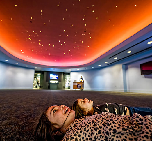 Star Gallery