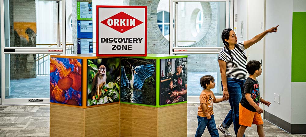 Orkin Discovery Zone